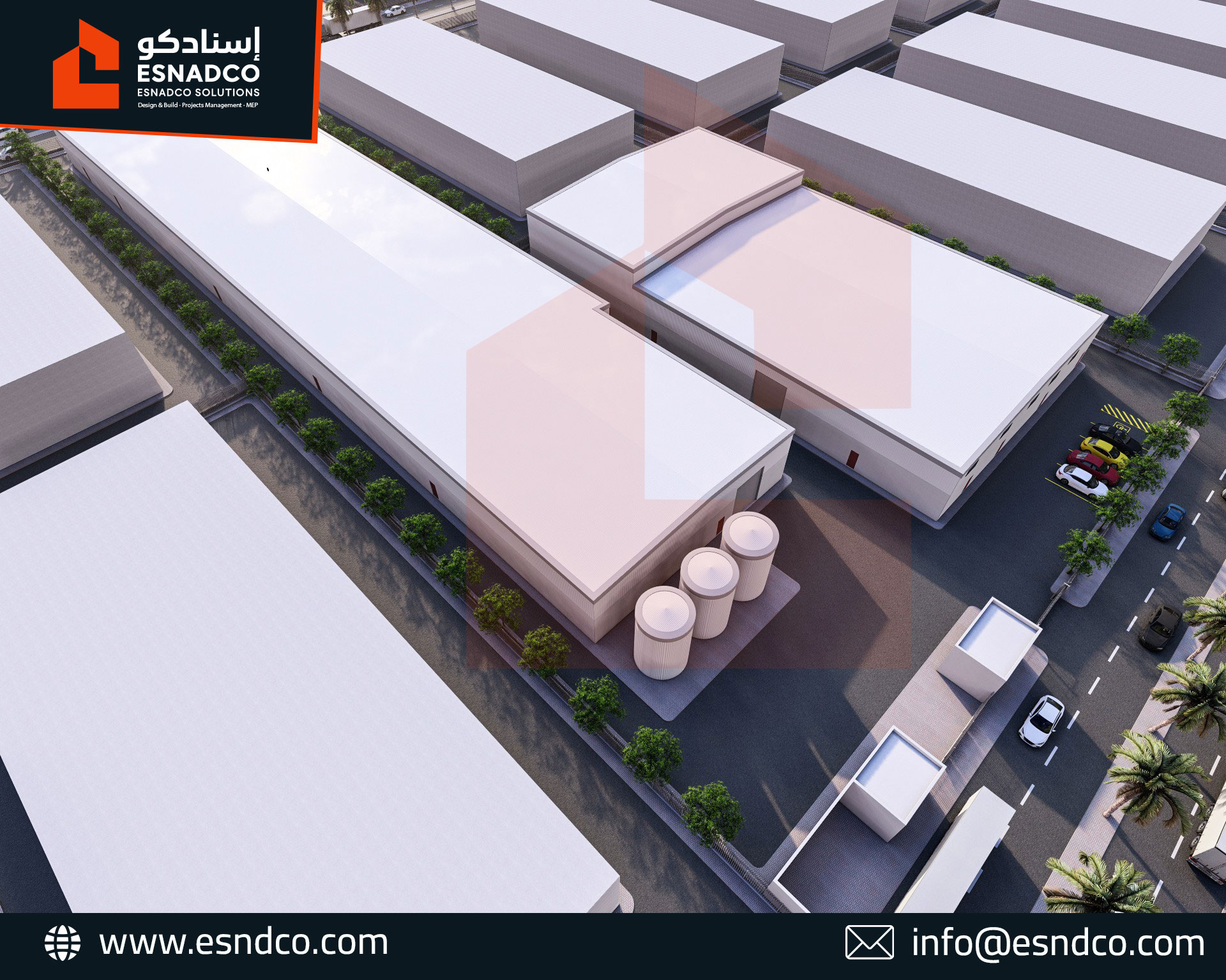 Rashed 2 jpg